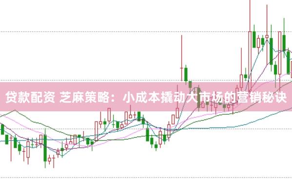 贷款配资 芝麻策略：小成本撬动大市场的营销秘诀