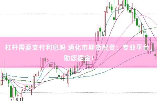 杠杆需要支付利息吗 通化市期货配资：专业平台，助您掘金！