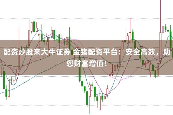 配资炒股来大牛证券 金猪配资平台：安全高效，助您财富增值！
