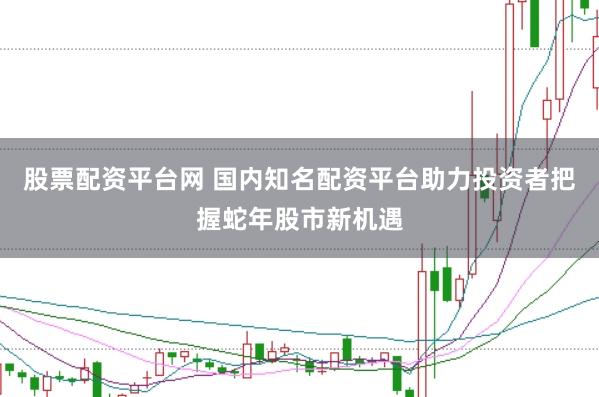 股票配资平台网 国内知名配资平台助力投资者把握蛇年股市新机遇