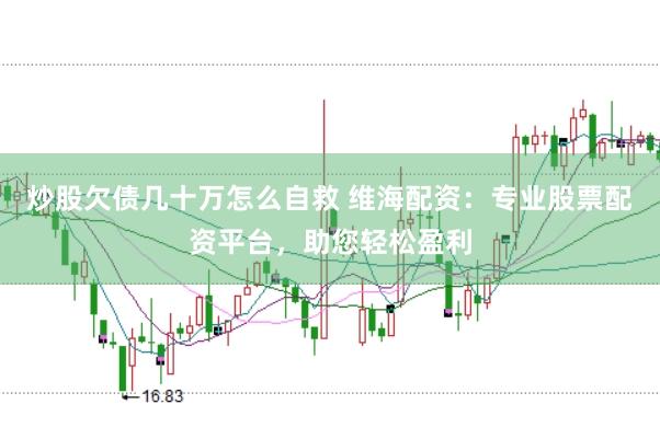 炒股欠债几十万怎么自救 维海配资：专业股票配资平台，助您轻松盈利