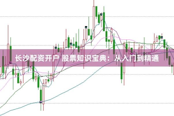 长沙配资开户 股票知识宝典：从入门到精通
