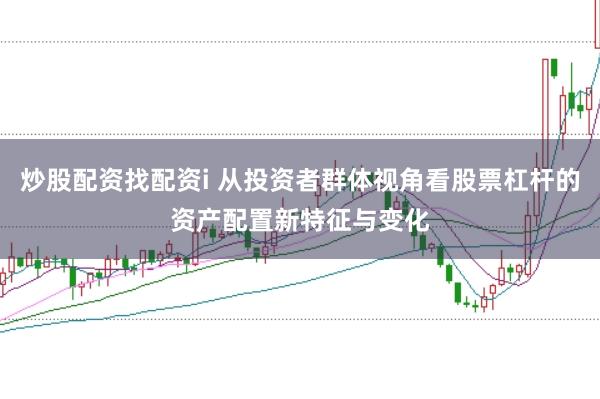 炒股配资找配资i 从投资者群体视角看股票杠杆的资产配置新特征与变化