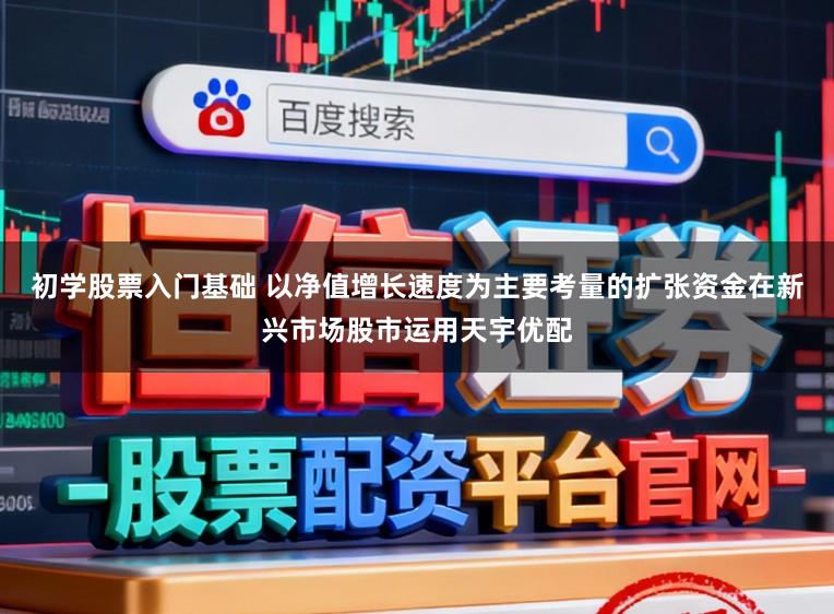 初学股票入门基础 以净值增长速度为主要考量的扩张资金在新兴市场股市运用天宇优配