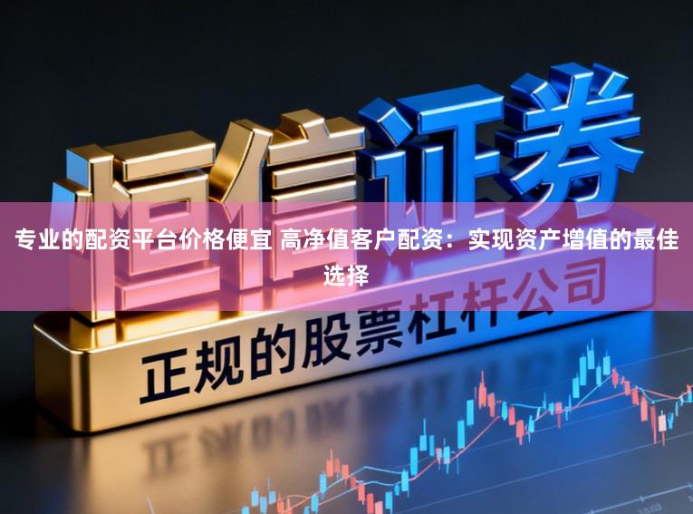 专业的配资平台价格便宜 高净值客户配资：实现资产增值的最佳选择